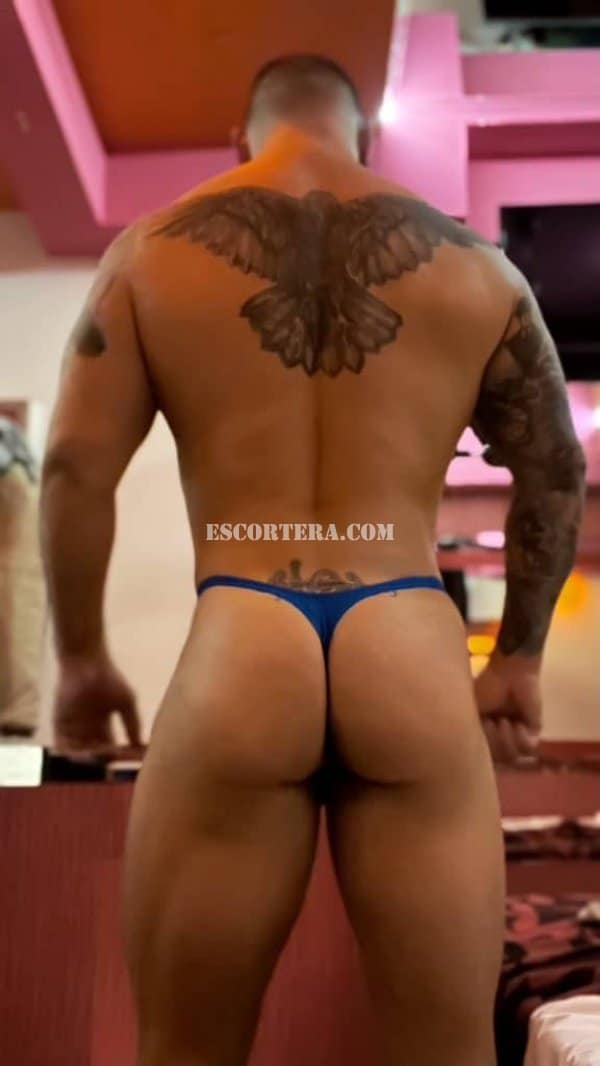 escorts - ROCKE - Portugal - Lisboa - 911567433 - 3